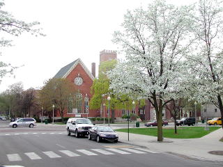 桜も咲くモンロー市街地