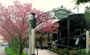 防石鉄道列車展示品と桜の写真
