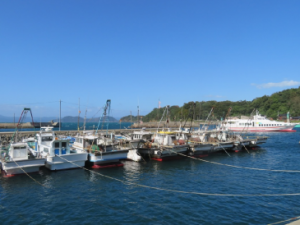 野島漁港の船だまりの写真です