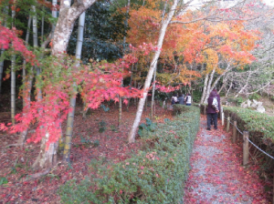 香山公園の紅葉の写真です