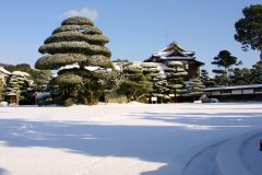 雪景色