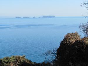 野島