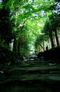 阿弥陀寺参道の写真