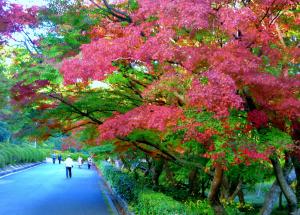 毛利氏庭園「路傍庭園」の紅葉1