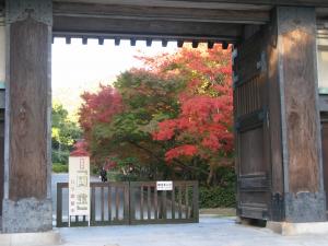 毛利氏庭園「路傍庭園」の紅葉２