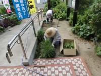 島のお母さん