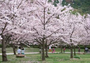 桜の下で老若男女がくつろぐ写真