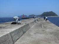 新波止の釣り状況