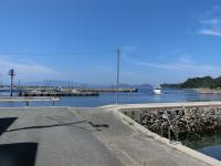 昼の野島港