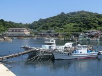 野島港