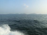 朝の大津島