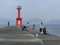 新波止での釣り状況