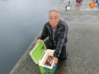 新波止での釣果