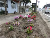 三田尻桟橋の花壇