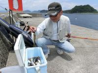 新波止先端の釣果