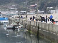 東の湾のアジ釣り