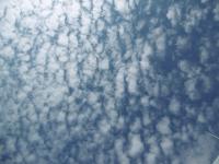 秋らしいウロコ雲が空一面に浮いています