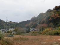 野島の紅葉