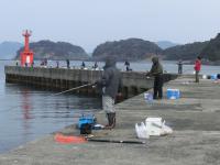 新波止の釣り状況