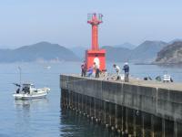 新波止先端の釣り状況