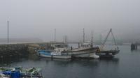 霧につつまれた野島港