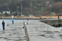 雨の中カッパを着て