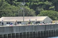 新波止の浮き釣り