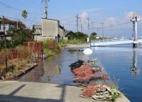 高潮で海水が道路に