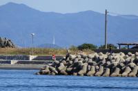東の波止根元寄りの消波ブロックでの釣り