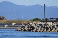 東の波止根元寄りの消波ブロックでの釣り