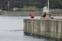 中波止先端のアジ釣り