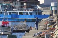 東の波止湾奥のアジ釣り