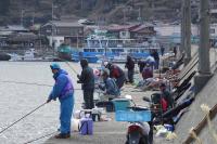 中波止のアジ釣り