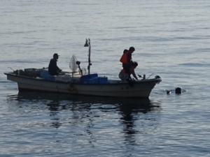 海中を撮影するダイバー