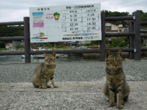 野島港にてお出迎え