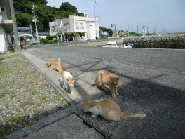 野島漁村センターをバックに