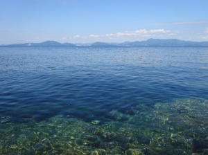 静かな波が寄せる津久美浜海岸の磯辺