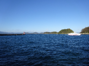 波が高い海の様子