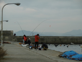 多くの釣り人でにぎわう波止場