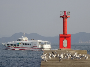 レインボーあかねと海鳥