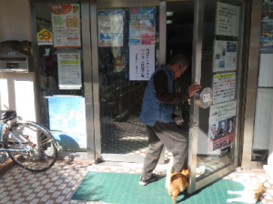 中が気になる猫の写真です