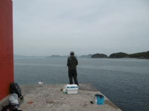 新波止の釣りの様子