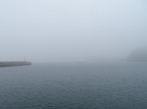 霧に覆われた野島の様子