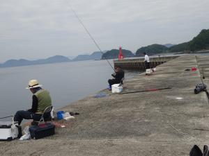 新波止での釣り情報