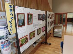 学ぼうやギャラリーに展示されている小野郷土史研究会の作品です
