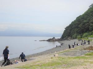 津久美浜清掃の様子