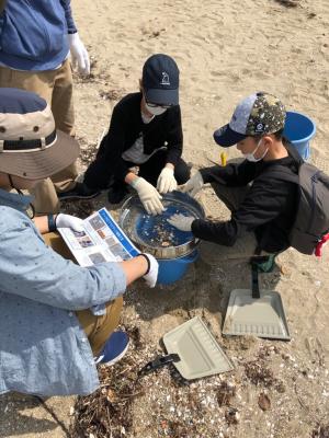 海岸の砂をふるいにかけている様子