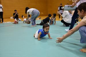赤ちゃんハイハイレース　よーいどん