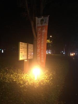 ライトアップ