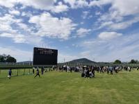 野球場